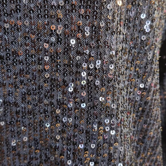 Talbots Sequined Blouse - Picture 3 of 3